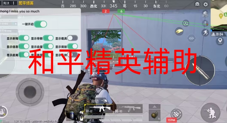 和平精英辅助瞄准-和平直装【小猫能增强版